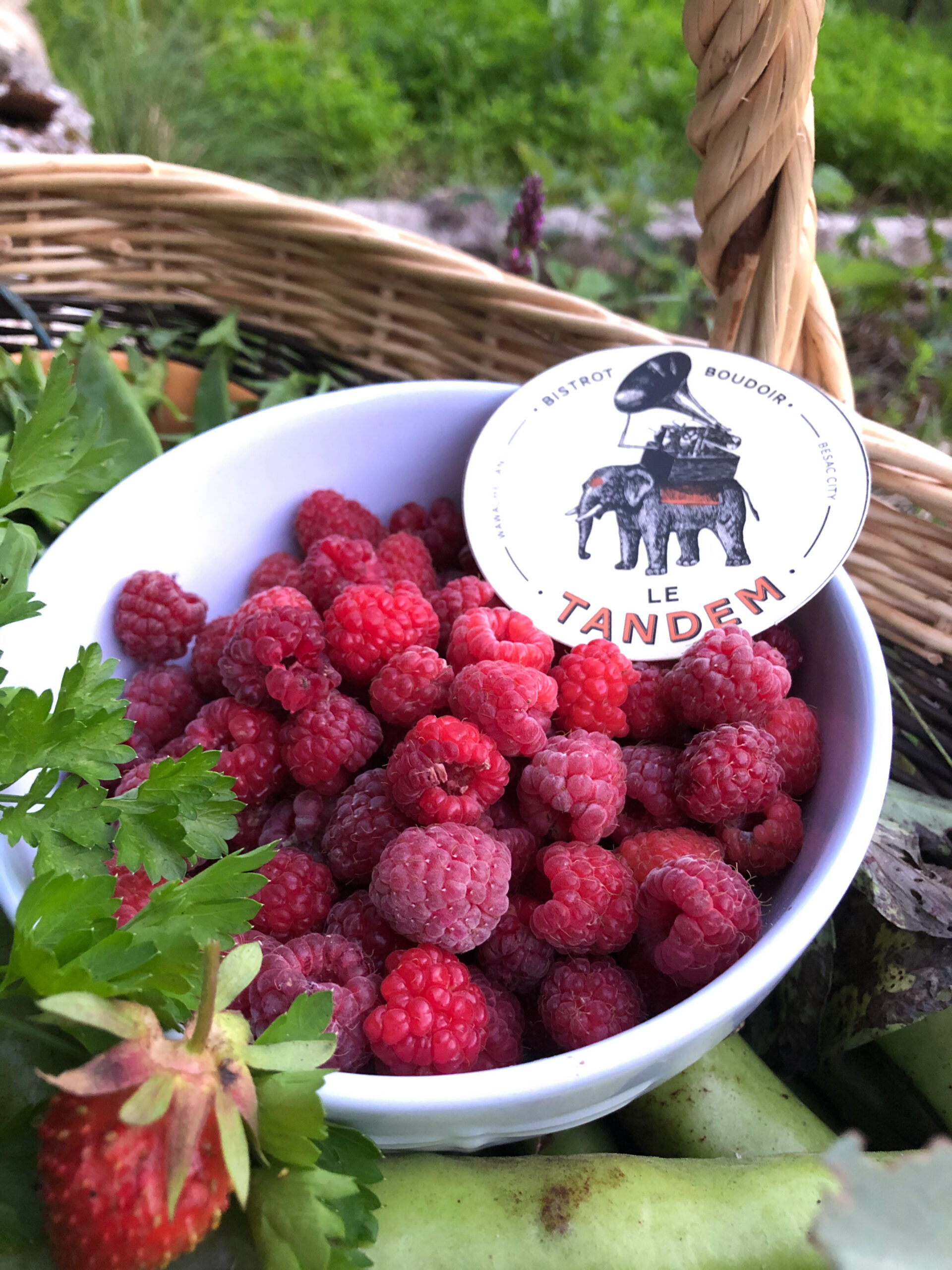 framboise du jardin des pléiades